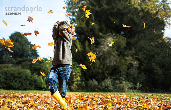 Junge  im Freien  wirft Herbstblätter