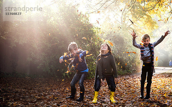 Drei kleine Jungen  die im Freien spielen und Herbstblätter werfen