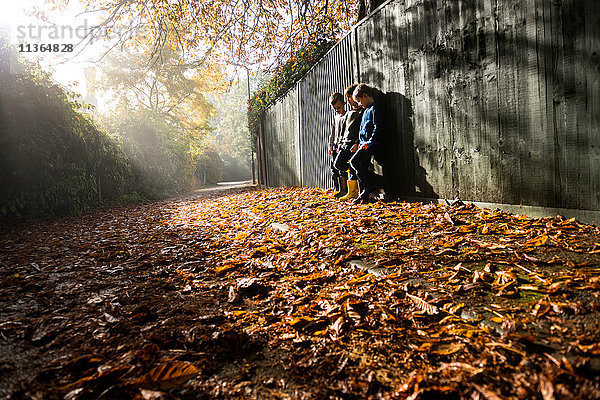 Drei kleine Jungen  an einen Zaun gelehnt  umgeben von Herbstlaub