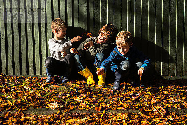 Drei kleine Jungen  an einem Zaun sitzend  umgeben von Herbstlaub