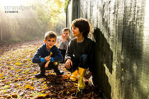 Drei kleine Jungen  an einem Zaun sitzend  umgeben von Herbstlaub