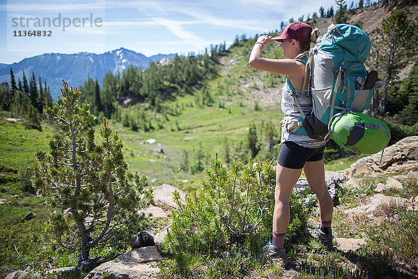 Wanderer geniessen Aussicht  Verzauberungen  Alpine Lakes Wilderness  Washington  USA