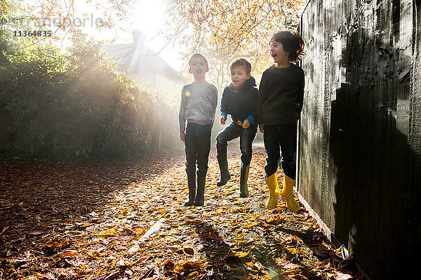 Drei kleine Jungen  die im Freien spielen und im Herbstlaub springen