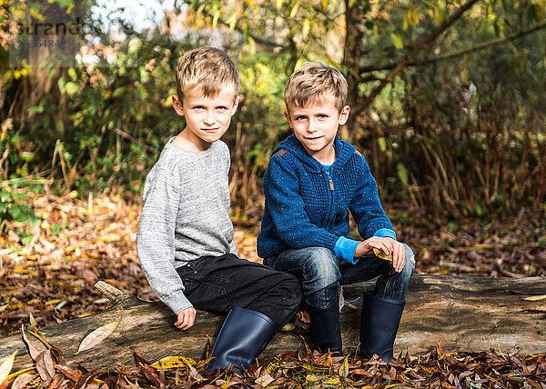 Porträt von Zwillingsjungen im Freien  die im Herbst auf einem Baumstamm sitzen
