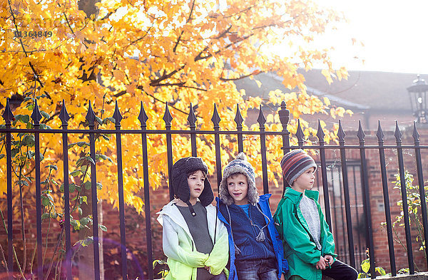Drei Jungen  im Freien  an den Zaun gelehnt  im Herbst