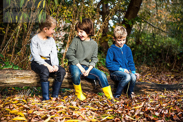 Drei Jungen  im Freien  auf einem Baumstamm sitzend  umgeben von Herbstlaub