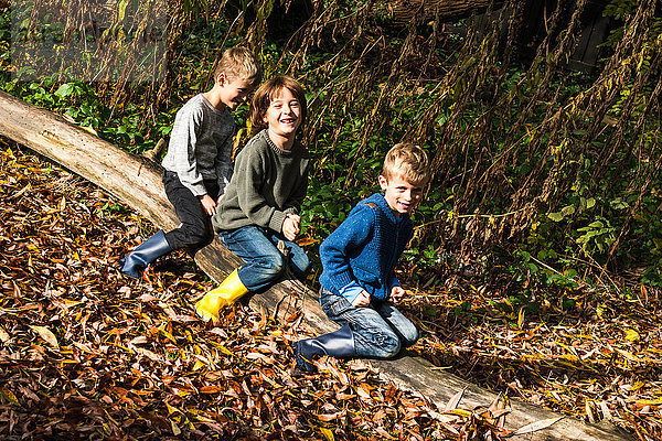 Drei Jungen  im Freien  auf einem Baumstamm sitzend  umgeben von Herbstlaub