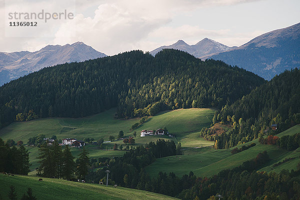 Santa Maddalena  Val di Funes (Tal von Funes)  Dolomiten-Alpen  Italien