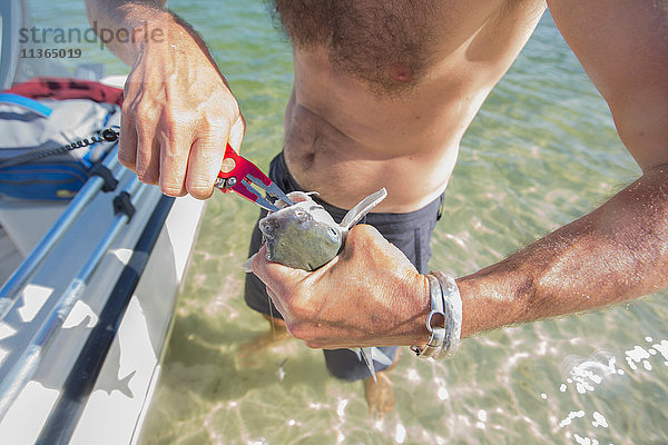 Mann zieht Haken aus dem Fischmaul  nachdem er gefangen wurde  Mittelabschnitt  Fort Walton Beach  Florida  USA