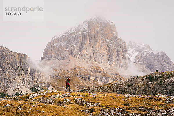 Wandern  Lagazuoi im Hintergrund  Dolomiten  Südtirol  Italien