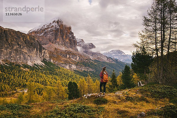 Landschaftsgenuss für Wanderer  Lagazuoi  Dolomiten  Südtirol  Italien