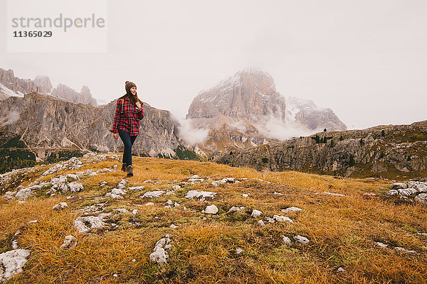 Wandern  Lagazuoi im Hintergrund  Dolomiten  Südtirol  Italien