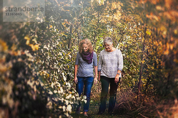 Mutter und erwachsene Tochter beim Herbstspaziergang im Wald