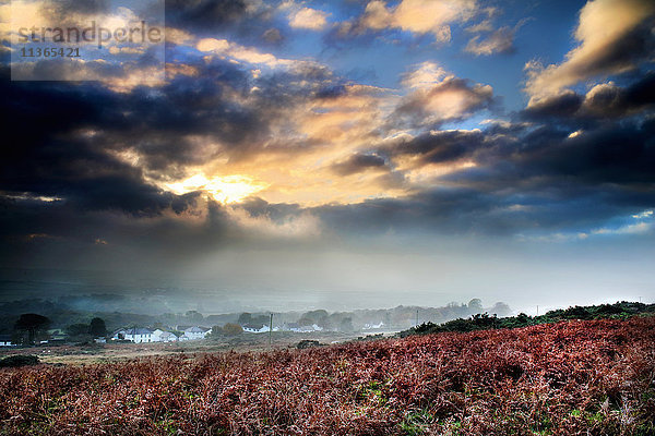 Blick auf das Dorf Reynoldston im Nebel von bracken  Gower  Wales