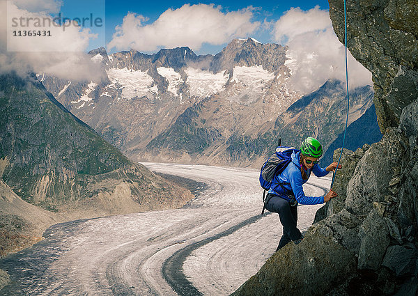 Bergsteigerin klettert Felswand über dem Aletschgletscher  Kanton Wallis  Schweiz