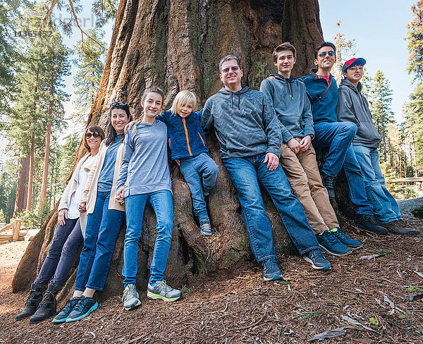 Porträt einer Gruppe von Menschen  die um einen großen Baum stehen  Sequoia-Nationalpark  Kalifornien  USA