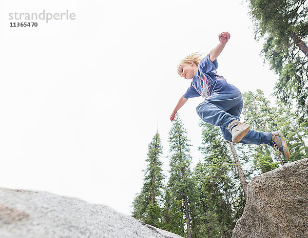 Junge springt vom Felsen  Niedrigwinkelansicht  Sequoia-Nationalpark  Kalifornien  USA