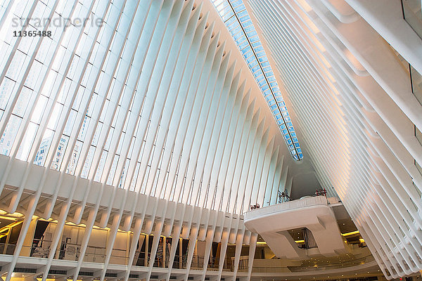 Oculus-Struktur  One World Trade Centre  New York City  New York  USA