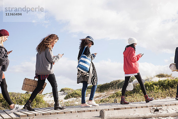 Reihe junger erwachsener Freunde schlendern entlang der Strandpromenade und lesen Smartphones  Western Cape  Südafrika
