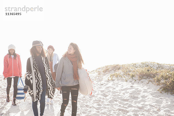 Junge Erwachsene picknickende Freunde beim Strandspaziergang am Strand  Western Cape  Südafrika
