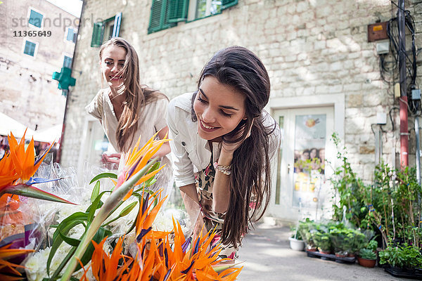 Weibliche Touristen betrachten Blumen am Marktstand  Split  Dalmatien  Kroatien