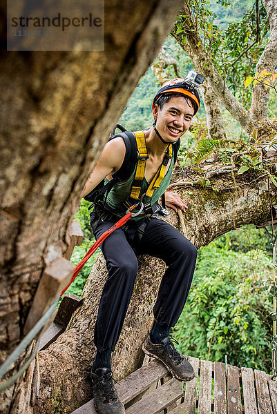 Mann sitzt in einem Baum  trägt ein Geschirr und schaut lächelnd in die Kamera  Provinz Champassak  Paksong  Laos