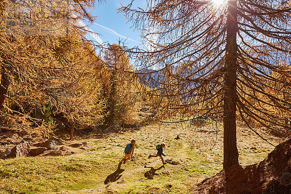 Zwei Brüder laufen im Freien  Schnalstal  Südtirol  Italien