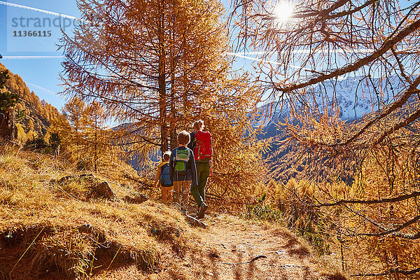 Familienwandern  Rückansicht  Schnalstal  Südtirol  Italien