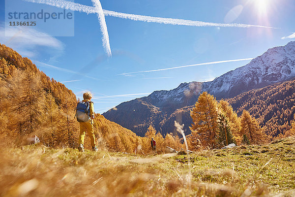 Frau beim Wandern  Rückansicht  Tiefblick  Schnalstal  Südtirol  Italien