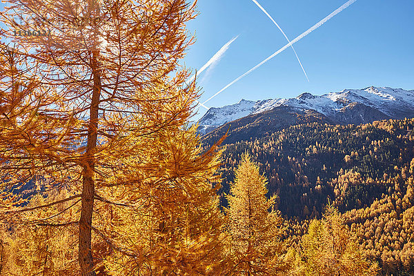 Landschaftsbild  Schnalstal  Südtirol  Italien