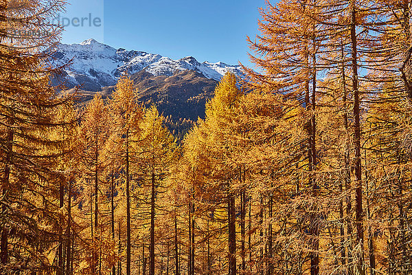 Landschaftsbild  Schnalstal  Südtirol  Italien