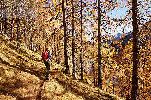 Frau mit Aussicht  Schnalstal  Südtirol  Italien