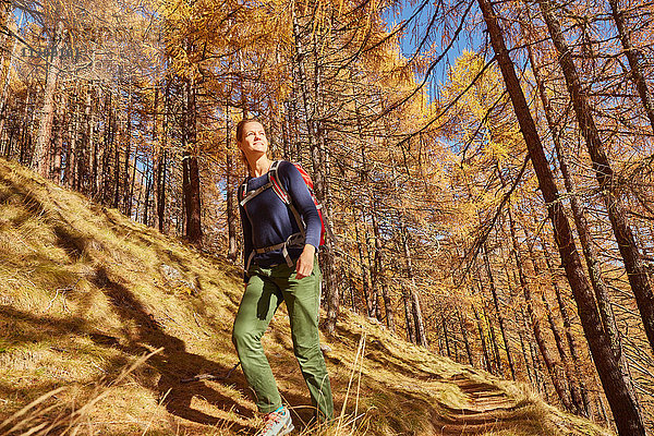 Frau beim Wandern  Ausblick  Tiefblick  Schnalstal  Südtirol  Italien