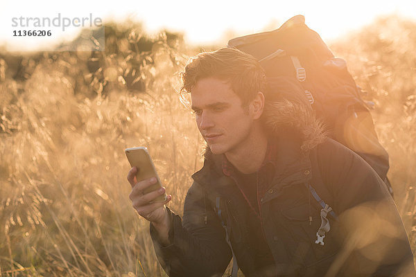 Junger Mann im Feld  der sich ein Smartphone anschaut