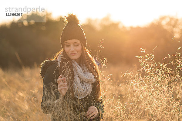 Junge Frau im Feld  die sich ein Smartphone anschaut