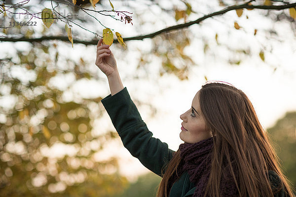 Junge Frau in ländlicher Umgebung  berührt Herbstblatt am Baum