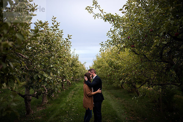 Romantisches Paar mittlerer Erwachsener umarmt sich im Obstgarten