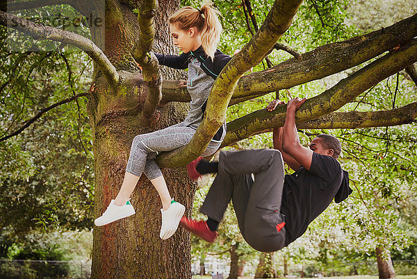 Personal Trainerin und junge Frau beim Aufstieg auf den Parkbaum