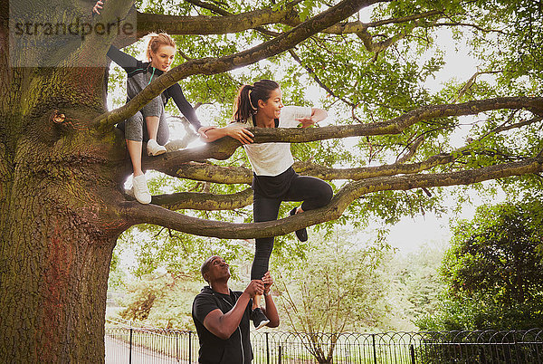 Personal Trainerin  die der Frau hilft  den Parkbaum zu erklimmen.