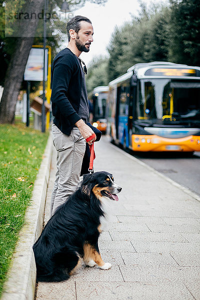 Mittelgroßer erwachsener Mann wartet mit seinem Haushund auf dem Bürgersteig der Stadt