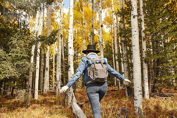 Frau wandert durch ländliche Umgebung  Rückansicht  Flagstaff  Arizona  USA