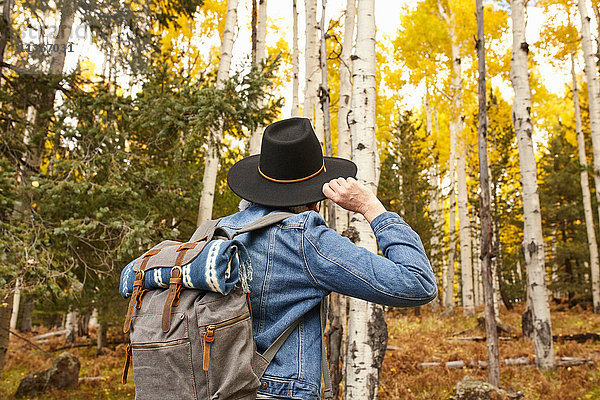 Frau wandert durch ländliche Umgebung  Rückansicht  Flagstaff  Arizona  USA