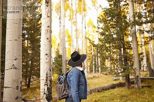 Frau in ländlicher Umgebung  Blick auf Aussicht  Flagstaff  Arizona  USA