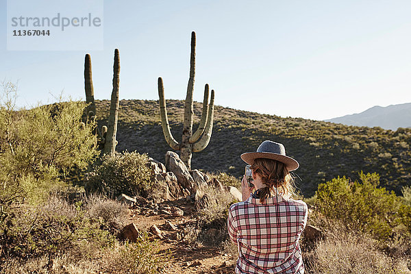 Frau beim Fotografieren von Kakteen  Rückansicht  Sedona  Arizona  USA