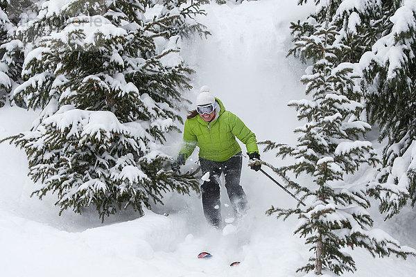 Skifahrer  Skiabfahrt  zwischen Bäumen