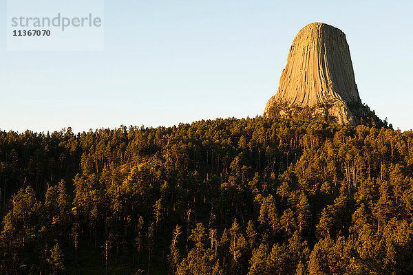 Devil's Tower National Monument  Wyoming  USA