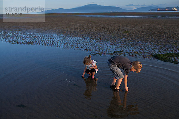 Kinder heben am Strand Muscheln auf  Vancouver  Britisch-Kolumbien  Kanada