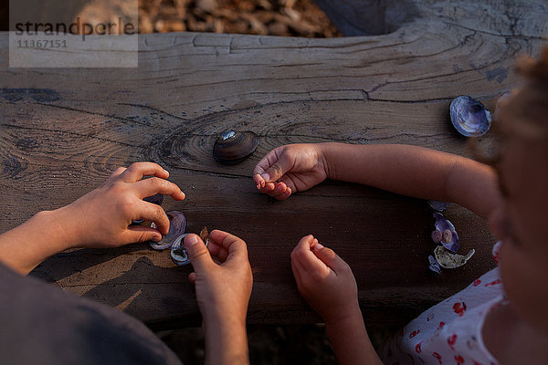 Kinder spielen mit Muscheln auf Baumstämmen