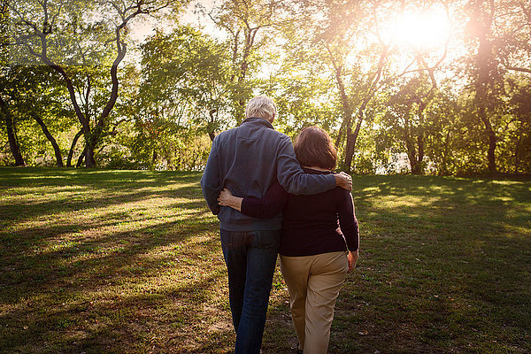 Rückansicht eines romantischen Seniorenpaares beim Spaziergang im sonnenbeschienenen Park