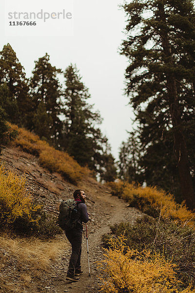 Rückansicht eines männlichen Wanderers  der einen Bergweg hinaufwandert  Mineral King  Sequoia National Park  Kalifornien  USA